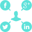 SEO optimization graph icon